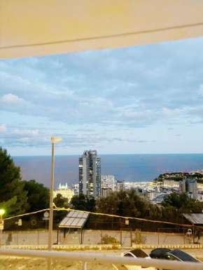 Vu la mer de Monaco